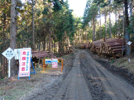 画像13